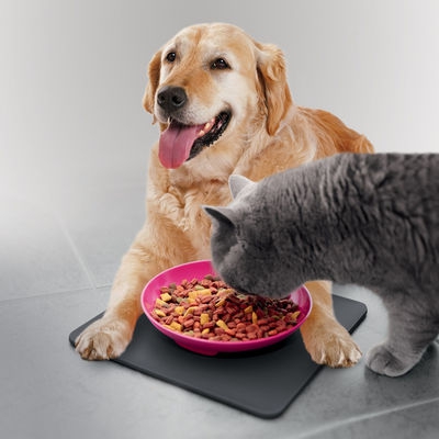 Kedi, Köpek ve Yavruların Yem ve Vitamine Ara Ürün Olarak Kat.