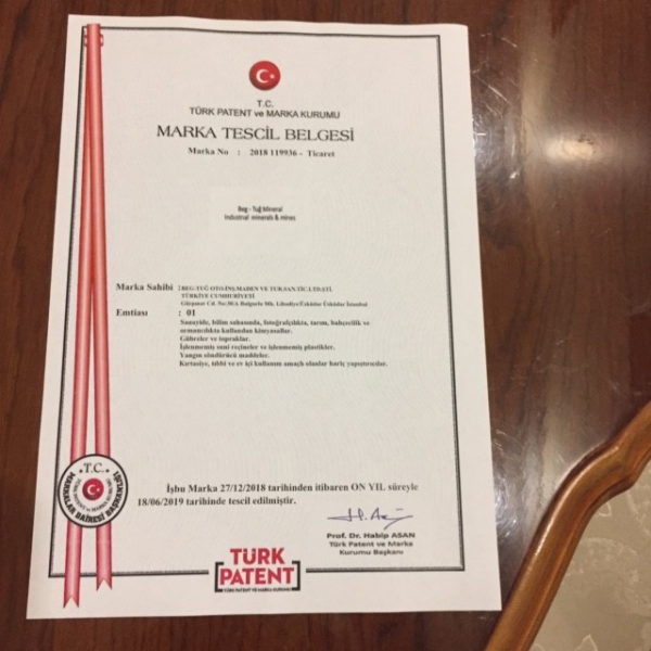 Beg Tuğ Türk Diatom