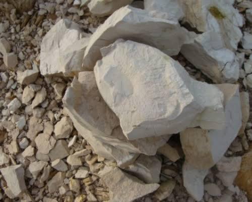 GIDA TARIM VE HAYVANCILIK BAKANLIĞI Tarımsal Araştırmalar ve Politikalar Genel Müdürlüğü PROJE SONUÇ RAPORU YERLİ DİATOM TOPRAKLARININ DEPOLANMIŞ BUĞDAY ZARARLILARI ÜZERİNDE